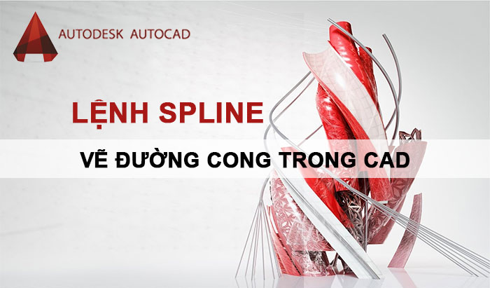lenh spline ve duong cong trong cad