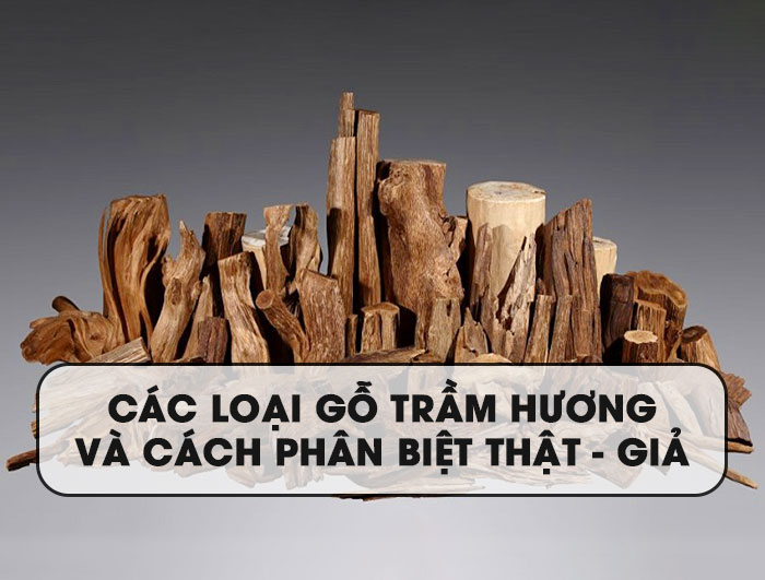 go tram huong