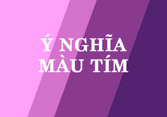 y nghia mau tim