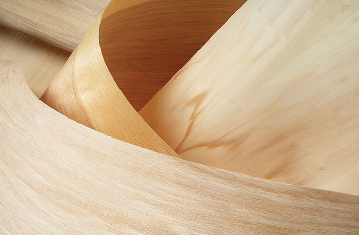 veneer la gi